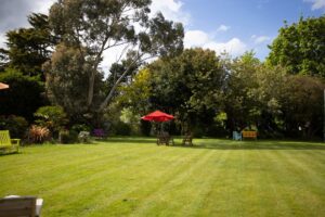 View of the garden in Greystones Nursing Home