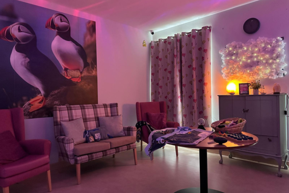 Puffins on wall 567 x 379 px